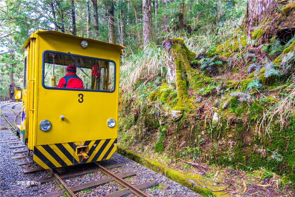 【宜蘭太平山】森林鐵道之旅，太平山蹦蹦車票價時刻表、路線，順遊鳩之澤泡溫泉煮溫泉蛋！ @來飽寶家ba