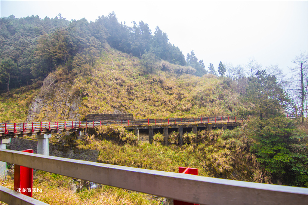 【宜蘭太平山】森林鐵道之旅，太平山蹦蹦車票價時刻表、路線，順遊鳩之澤泡溫泉煮溫泉蛋！ @來飽寶家ba