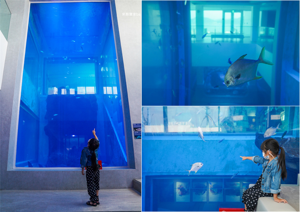 【基隆景點】潮境智能海洋館｜7米高大洋缸、夢幻水母館，全新沉浸式海底體驗！ @來飽寶家