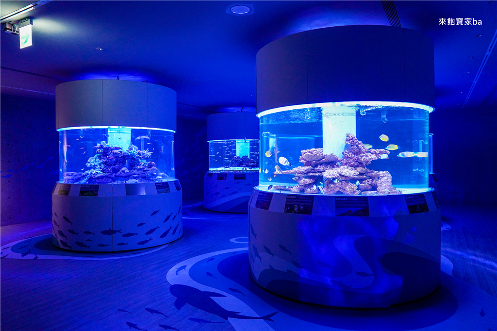 【基隆景點】潮境智能海洋館｜7米高大洋缸、夢幻水母館，全新沉浸式海底體驗！ @來飽寶家