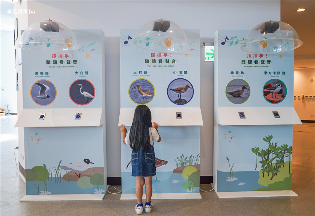 【彰化伸港】彰化縣自然生態教育中心｜濱海生態之美～白色海豚屋，3D互動彩繪牆 @來飽寶家ba