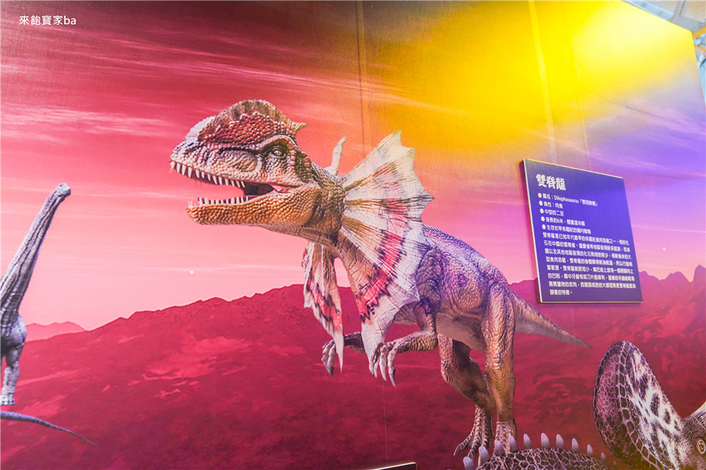 【台中親子展覽】侏儸紀x恐龍3.0台中站｜騎恐龍、與恐龍賽跑、越野戰車狙擊恐龍，一秒重返侏羅紀世界 @來飽寶家ba