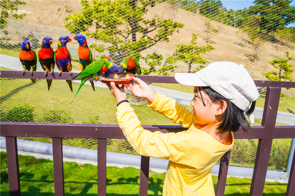 南投草屯【九九峰動物樂園】亞洲最大的鳥類主題動物園，零距離互動的開放式園區（門票／評價／餵食時刻表） @來飽寶家ba