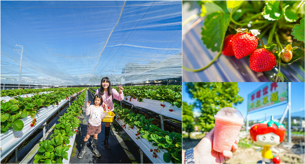 【台中採草莓】草莓世界｜免去大湖~台中潭子高架跟地面草莓，還有草莓冰淇淋、冰沙跟草莓香腸！ @來飽寶家ba