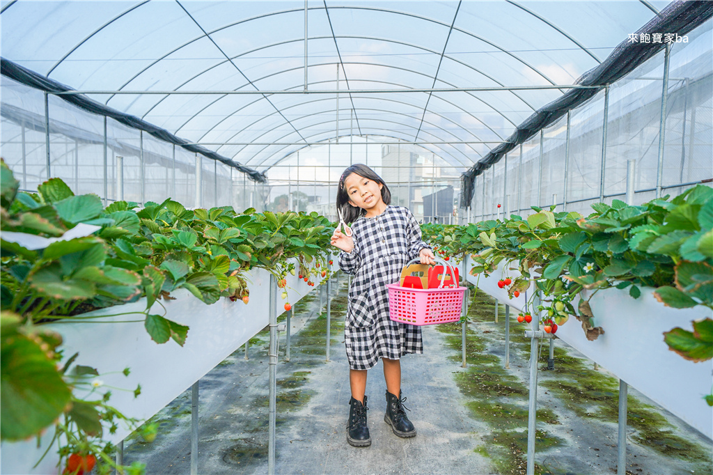 【台中潭子】友田珍鄉有機農場｜有機溫室高架草莓園（位置、價格） @來飽寶家ba